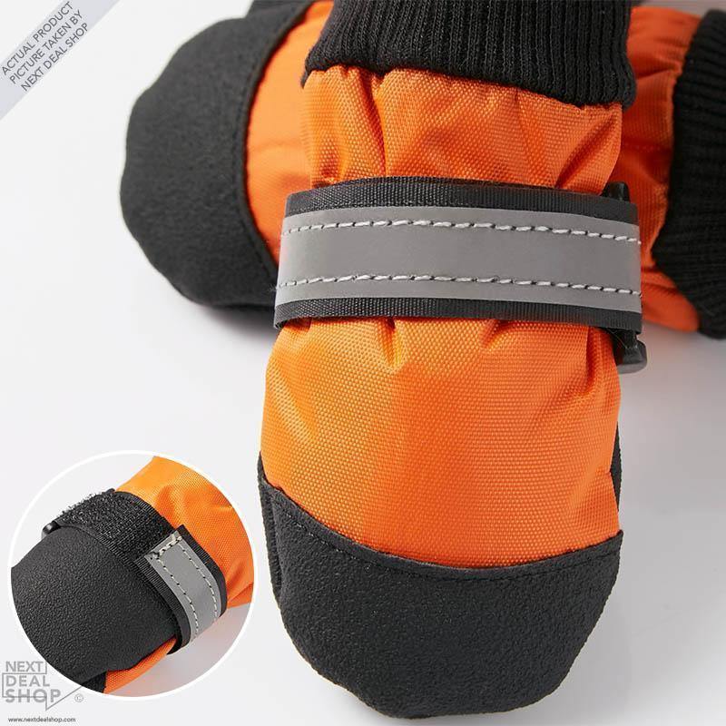 Botas para mascotas: ¡Protege a tu mejor amigo en cualquier época del año!