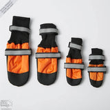 Botas para mascotas: ¡Protege a tu mejor amigo en cualquier época del año!